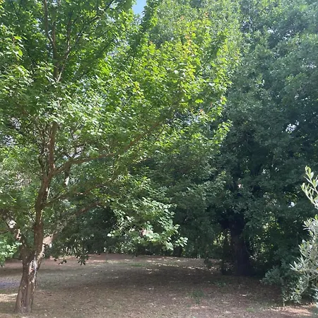 A Casa Di Bia Castro dei Volsci